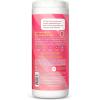 Method All-Purpose Cleaning Wipes, Lime + Sea Salt, Multi-Surface, Compostable, 70 Count (Pack of 6)(Orange)