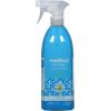 Method Antibacterial Bathroom Cleaner, Spearmint, Removes Mold + Mildew stains, 28 Fl Oz(Spearmint)