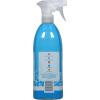 Method Antibacterial Bathroom Cleaner, Spearmint, Removes Mold + Mildew stains, 28 Fl Oz(Spearmint)