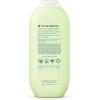 Method Body Wash, Daily Zen, Paraben and Phthalate Free, 18 oz (Pack of 6)(Daily Zen)