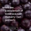 Method Body Wash, Magnolia, Paraben and Phthalate Free, 18 oz (Pack of 1)(Berry Balance)