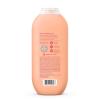 Method Body Wash, Magnolia, Paraben and Phthalate Free, 18 oz (Pack of 1)(Island Mist)