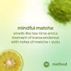 Method Color Protect Conditioner, Mindful Matcha – Safe for Color-Treated Hair, Protects from Environmental Stressors, with Strengthening Peptide – Paraben Free, Cruelty Free – 13.5 oz