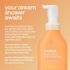 Method Dream Foam, Foaming Body Wash, Jasmine + Sandalwood, 13.5 oz(Vetiver + Amber)