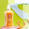Method Fabric Softener; Ginger Mango; 53.5 Ounces; 45 Loads; 1 pack; Packaging May Vary(Ginger Mango)