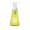 Method Foaming Hand Soap, Green Tea + Aloe, 10 Fl Oz (Pack of 6)(Lemon Mint)