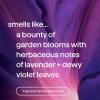 Method Foaming Hand Soap Refill, Violet + Lavender, 28 Fl Oz (Pack of 1) (Packaging May Vary)(28 Fl Oz (Pack of 1))