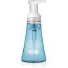 Method Foaming Hand Soap, Sea Minerals, Paraben and Phthalate Free, 10 Fl Oz (Pack of 6)(10 Fl Oz (Pack of 3))