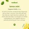 Method Gel Dish Soap Liquid, Lemon Mint, Tough on Grease, 18 Fl Oz (Pack of 6(18 Fl Oz (Pack of 1))