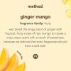 Method Liquid Laundry Detergent; Ginger Mango Scent; Stain Remover; 66 Loads per 53.5 fl oz bottle; 4 Pack (264 Total Loads); Packaging May Vary
