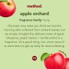 Method Stainless Steel Cleaner + Polish, Apple Orchard, Cleans Fingerprints and Smudges, 14 FL Oz (Pack of 6)(Cleaner + Polish)