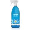Method Antibacterial Bathroom Cleaner, Spearmint, Removes Mold + Mildew stains, 28 Fl Oz(Spearmint)