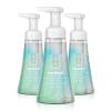 Method Foaming Hand Soap, Coconut Water, 10 fl oz (Pack of 3)(30 Fl Oz (Pack of 1))