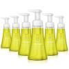 Method Foaming Hand Soap, Green Tea + Aloe, 10 Fl Oz (Pack of 6)(Lemon Mint)