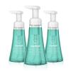 Method Foaming Hand Soap, Waterfall, 10 fl oz (Pack of 3)(10 Fl Oz (Pack of 3))