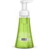 Method Foaming Hand Soap, Green Tea + Aloe, 10 Ounce (Pack of 3)