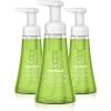 Method Foaming Hand Soap, Green Tea + Aloe, 10 Ounce (Pack of 3)