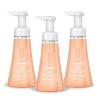 Method Foaming Hand Wash, Sandalwood + Cedar, 10 fl oz, 3 pack(10 Fl Oz (Pack of 3))