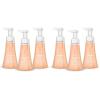 Method Foaming Hand Wash, Sandalwood + Cedar, 10 fl oz, 3 pack(10 Fl Oz (Pack of 6))