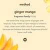 Method Laundry Detergent Packs; Ginger Mango Scent; Stain Remover Solution that Works in Hot & Cold Water; 42 Packs per Bag; 4 Pack (168 Loads); Packaging May Vary(Ginger Mango)